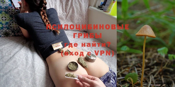 спайс Алзамай