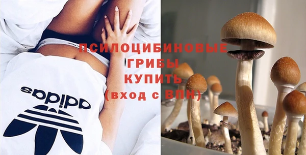 спайс Алзамай