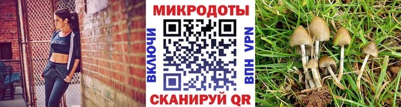 Псилоцибиновые грибы GOLDEN TEACHER  Миньяр 